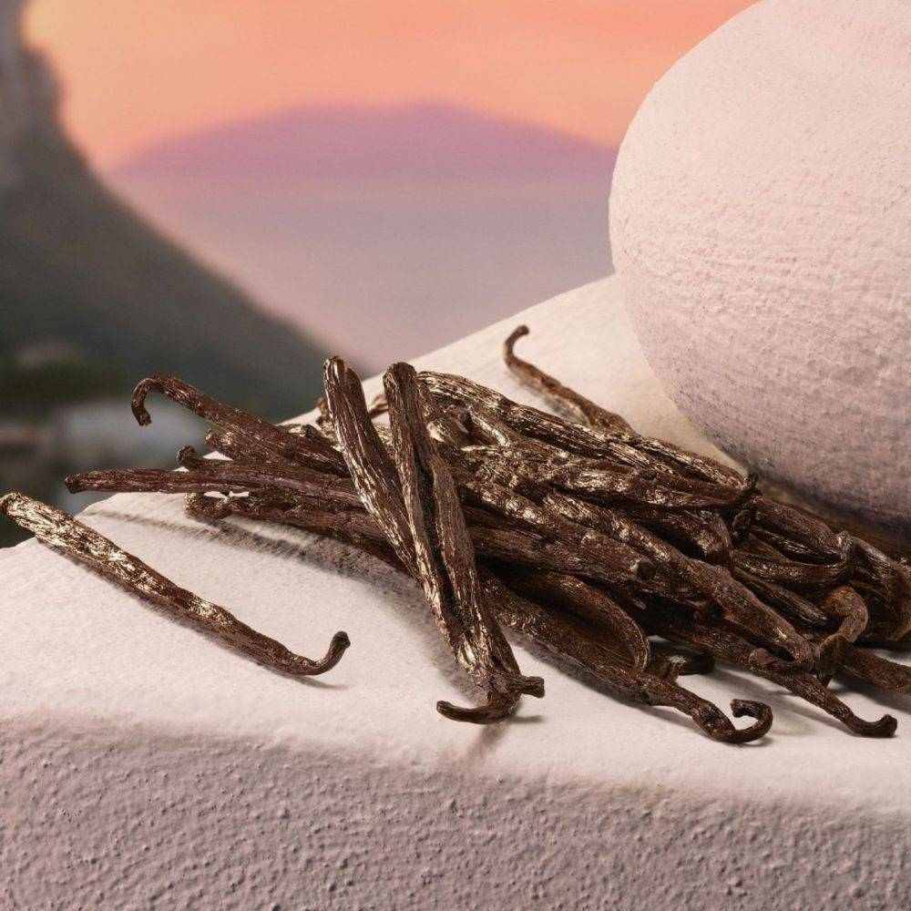 MY DEVOTION EAU DE PARFUM INTENSE